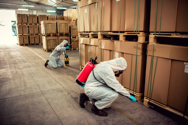 Best Wildlife Control Services  in Little River, SC