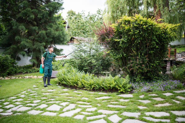 Best Commercial Pest Control Services  in Little River, SC