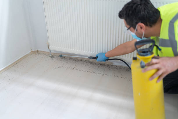 Best Pest Prevention Services  in Little River, SC
