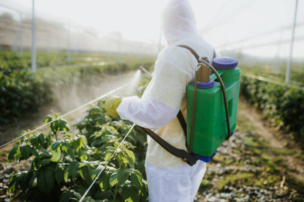 Best Residential Pest Control  in Little River, SC